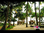 The glamour of Dongjiao Coconut Forest lies in the tropical coconut culture. There is a coconut park, a couple of seaside holiday resort and many seafood restaurants. Visitors can enjoy coconut juice, fresh seafood and bathe under the sunlight in the coconut forest. [China.org.cn] 