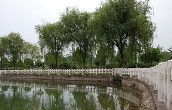 Nanjing Normal University, one of the 'Top 10 most beautiful universities in China' by China.org.cn.