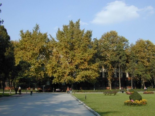 Sichuan University, one of the &apos;Top 10 most beautiful universities in China&apos; by China.org.cn.