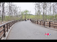 Olympic Forest Park is located to the north of the 'Bird's Nest' and 'Water Cube'. Shrouded in trees, reeds and grass and spotted with ponds, the 11.5-square-kilometer Olympic National Forest Park has become a popular destination for tourists to inhale some fresh air in Beijing. [Photo by Yuan Fang]