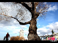 Harbin is the capital and largest city of Heilongjiang Province in Northeast China, lying on the southern bank of the Songhua River. Photo show the beautiful early spring scenery of Haibin. [China.org.cn]