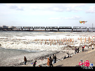 Harbin is the capital and largest city of Heilongjiang Province in Northeast China, lying on the southern bank of the Songhua River. Photo show the beautiful early spring scenery of Haibin. [China.org.cn]