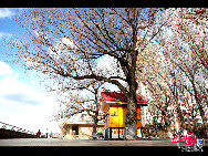 Harbin is the capital and largest city of Heilongjiang Province in Northeast China, lying on the southern bank of the Songhua River. Photo show the beautiful early spring scenery of Haibin. [China.org.cn]