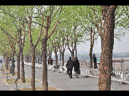 Olympic Forest Park is located to the north of the 'Bird's Nest' and 'Water Cube.' Shrouded in trees, reeds and grass and spotted with ponds, the 11.5-square-kilometer Olympic National Forest Park has become a popular destination for tourists to inhale some fresh air in Beijing. [Photo by Yuan Fang]