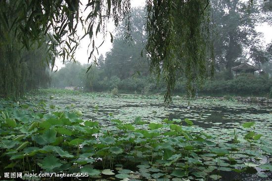 Tsinghua University, one of the 'Top 10 most beautiful universities in China' by China.org.cn.