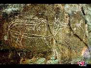 Located 56 kilometers from Yinchuan city, the rock paintings in Helan Mountain are the works done by different ethnic groups of different times covering the themes of nomadic life, sacrifice to gods, animals and human images as well as knives, axes, stone chains, traps and carts. It was listed on the unofficial world cultural heritages by the UNESCO International Committee of Rock Painting in 1977. [Photo: China.org.cn] 