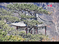 Miaofeng Mountain, with its towering peaks rising majestically to a height of more than 1,300 meters, is the major peak in the northern range of the Western Hills. Situated at a distance of about 70 kilometers from downtown areas, its sheer cliffs, jutting crags and tortuous mountain paths make it one of the most renowned scenic spots in northern China. [Photo by Yuan Fang]