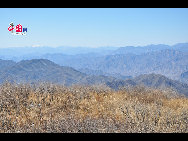 Miaofeng Mountain, with its towering peaks rising majestically to a height of more than 1,300 meters, is the major peak in the northern range of the Western Hills. Situated at a distance of about 70 kilometers from downtown areas, its sheer cliffs, jutting crags and tortuous mountain paths make it one of the most renowned scenic spots in northern China. [Photo by Yuan Fang]  