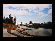 Photo shows the terrace field in Yuanyang county of southwest China's Yunnan Province. The terrace field in Yuanyang where people of Hani ethnic group live covers an area of some 113 square kilometers. [拂锺无声/forums.nphoto.net]