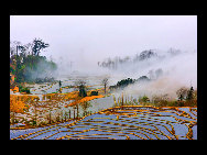 Photo shows the terrace field in Yuanyang county of southwest China's Yunnan Province. The terrace field in Yuanyang where people of Hani ethnic group live covers an area of some 113 square kilometers. [拂锺无声/forums.nphoto.net]