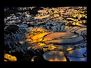 Photo shows the terrace field in Yuanyang county of southwest China's Yunnan Province. The terrace field in Yuanyang where people of Hani ethnic group live covers an area of some 113 square kilometers. [拂锺无声/forums.nphoto.net]