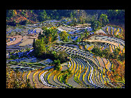 Photo shows the terrace field in Yuanyang county of southwest China's Yunnan Province. The terrace field in Yuanyang where people of Hani ethnic group live covers an area of some 113 square kilometers. [拂锺无声/forums.nphoto.net]