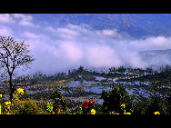 Photo shows the terrace field in Yuanyang county of southwest China's Yunnan Province. The terrace field in Yuanyang where people of Hani ethnic group live covers an area of some 113 square kilometers. [拂锺无声/forums.nphoto.net]