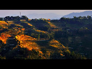 Photo shows the terrace field in Yuanyang county of southwest China's Yunnan Province. The terrace field in Yuanyang where people of Hani ethnic group live covers an area of some 113 square kilometers. [拂锺无声/forums.nphoto.net]