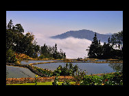 Photo shows the terrace field in Yuanyang county of southwest China's Yunnan Province. The terrace field in Yuanyang where people of Hani ethnic group live covers an area of some 113 square kilometers. [拂锺无声/forums.nphoto.net]
