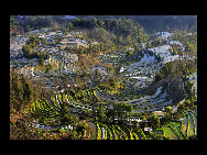Photo shows the terrace field in Yuanyang county of southwest China's Yunnan Province. The terrace field in Yuanyang where people of Hani ethnic group live covers an area of some 113 square kilometers. [拂锺无声/forums.nphoto.net]