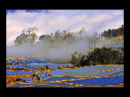 Photo shows the terrace field in Yuanyang county of southwest China's Yunnan Province. The terrace field in Yuanyang where people of Hani ethnic group live covers an area of some 113 square kilometers. [拂锺无声/forums.nphoto.net]
