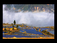 Photo shows the terrace field in Yuanyang county of southwest China's Yunnan Province. The terrace field in Yuanyang where people of Hani ethnic group live covers an area of some 113 square kilometers. [拂锺无声/forums.nphoto.net]