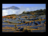 Photo shows the terrace field in Yuanyang county of southwest China's Yunnan Province. The terrace field in Yuanyang where people of Hani ethnic group live covers an area of some 113 square kilometers. [拂锺无声/forums.nphoto.net]