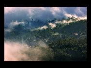 Photo shows the terrace field in Yuanyang county of southwest China's Yunnan Province. The terrace field in Yuanyang where people of Hani ethnic group live covers an area of some 113 square kilometers. [拂锺无声/forums.nphoto.net]