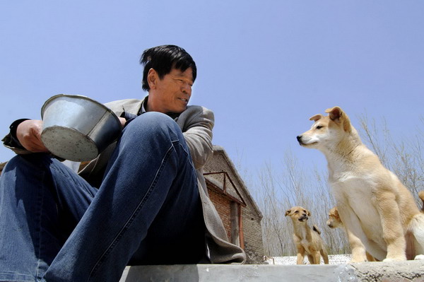 Liu Shuxia looks at Kaka at his stray dog center in Jinan, Shandong province, April 11, 2011. [Photo/Xinhua]