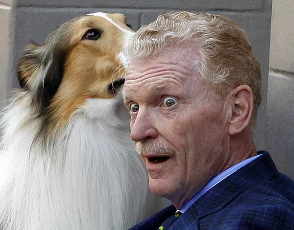 CBS news correspondent and author Bill Geist poses as he sits beside his newly unveiled star on the Hollywood Walk of Fame as Lassie licks his face in Hollywood, California April 15, 2011. [Xinhua/Reuters]