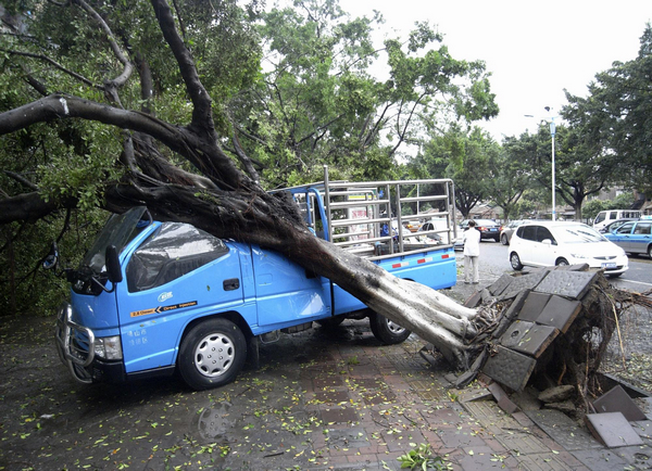 17 killed, 118 injured in S China hailstorm