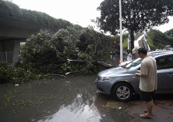 17 killed, 118 injured in S China hailstorm