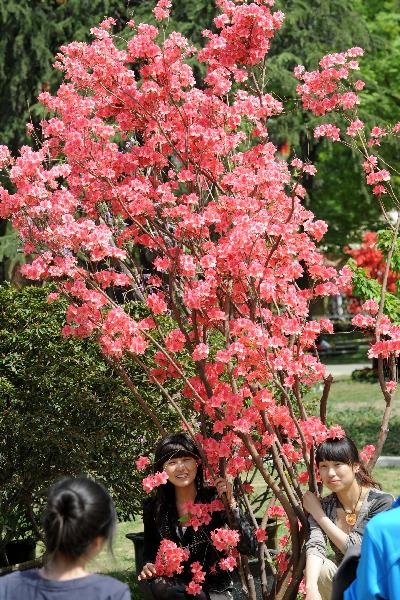 Visitors pose for a photo with Azalea at a park in Nanjing, capital of east China's jiangsu Province, April 18, 2011. The 9th China Azalea Exhibition kicked off here on Monday, showcasing over 200 kinds of Azalea from more than 30 cities around China.