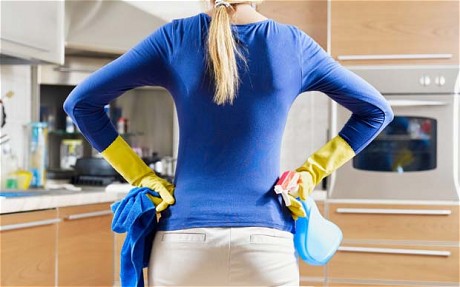 Previous studies have linked clean homes to weak immune systems.