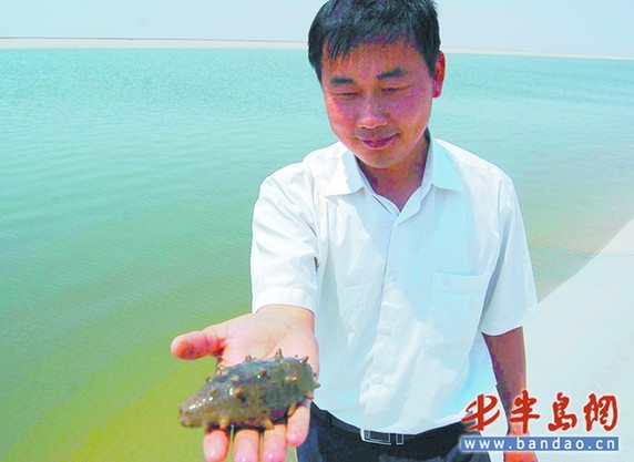 National aquatic food base to be built in Shandong