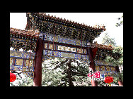 The Pool and Cudrania Temple, or Tanzhe Si, is situated 45 kilometers west of the city. The Chinese have a centuries old proverb; 'First there was the Pool and Cudrania Temple, then came Beijing.' This structure dates back 1,600 years to the Jin Dynasty, when it was known as the Temple of Auspicious Fortune. During the Tang Dynasty the grounds were expanded and renamed the Dragon Spring Temple. [China.org.cn]