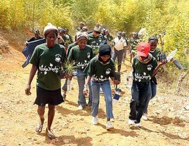 In Haiti, students and chaperones carry seedlings to a ceremony in the forest. The group planted 2,000 of the 300,000 seedlings in memory of earthquake victims, April 9, 2011. [Kendra Helmer courtesy USAID] 