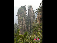 Zhangjiajie of Hunan Province is marked with world-famous Sandstone Peak Forest Geopark, where more than 3,000 sandstone peaks erected high in the clouds are very unique in the world. [China.org.cn]
