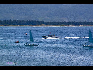 Located in Haitang Bay north of Sanya, Wuzhizhou Island is the 'No. 1 bay under the sun.' It is one of the rare islands that has freshwater in Hainan. It has more than 2,000 types of plants, including the precious dracaena. Wuzhizhou Island boasts pleasant temperature year-round, clean water and various kinds of tropical fish and seafood, such as sea cucumber, lobster, mackerel and sea urchin,. The sea visibility down to 27 meters makes it the best place for diving in China. [KIIII/bbs.fengniao.com]