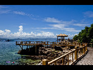 Located in Haitang Bay north of Sanya, Wuzhizhou Island is the 'No. 1 bay under the sun.' It is one of the rare islands that has freshwater in Hainan. It has more than 2,000 types of plants, including the precious dracaena. Wuzhizhou Island boasts pleasant temperature year-round, clean water and various kinds of tropical fish and seafood, such as sea cucumber, lobster, mackerel and sea urchin,. The sea visibility down to 27 meters makes it the best place for diving in China. [KIIII/bbs.fengniao.com]