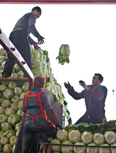 Sold! Chinese cabbages are moved from a farmer's truck to the buyer's. The vegetable wholesale market was built in 1984 after the Chinese cabbage harvest of 1983 outstripped local demand. [China Daily]