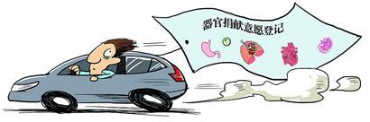 People applying for a license will soon be asked whether they want to donate their organs if they are killed in an accident. [Photo: Jinan Times]