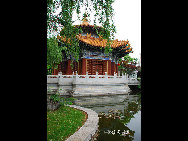 Located in the northeast suburbs of Kunming, Kunming World Horticultural Expo Garden is the site of the 1999 Kunming International Horticultural Exposition. It consists of five big exhibition halls (China Hall, International Hall, Man and Nature Hall, Green House Hall, and Science and Technology Hall), seven theme gardens,three outdoor showplaces and two big squares. [一见如故/forums.nphoto.net]