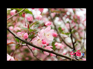 Situated in the southwest suburb of the city, 4 kilometers away from the urban area, Taihu Lake Scenery Zone consists of Meiliang Lake scenery zone and Lihu scenery zone. Meiliang Lake is a bay of Taihu Lake covering approximately 200 square kilometers. It is the best spot of Taihu Lake Scenery Zone with Turtle Head Islet as its main part. Turtle Head Islet was originally founded in 1918. [China.org.cn] 
