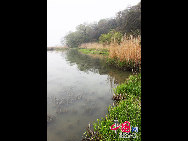 Situated in the southwest suburb of the city, 4 kilometers away from the urban area, Taihu Lake Scenery Zone consists of Meiliang Lake scenery zone and Lihu scenery zone. Meiliang Lake is a bay of Taihu Lake covering approximately 200 square kilometers. It is the best spot of Taihu Lake Scenery Zone with Turtle Head Islet as its main part. Turtle Head Islet was originally founded in 1918. [China.org.cn] 