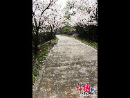 Situated in the southwest suburb of the city, 4 kilometers away from the urban area, Taihu Lake Scenery Zone consists of Meiliang Lake scenery zone and Lihu scenery zone. Meiliang Lake is a bay of Taihu Lake covering approximately 200 square kilometers. It is the best spot of Taihu Lake Scenery Zone with Turtle Head Islet as its main part. Turtle Head Islet was originally founded in 1918. [China.org.cn] 