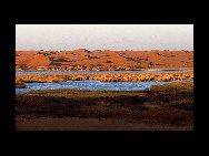 Moon Lake is situated in the hinterland of Tenggeli Desert, Alxa League of north China's Inner Mongolia Autonomous Region. Moon Lake is abeautiful and magic natural freshwater lake. With an area of three sq.kilometers, the lake resembles the shape of a map of China.[草原上的风/Forums.nphoto] 
