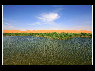 Moon Lake is situated in the hinterland of Tenggeli Desert, Alxa League of north China's Inner Mongolia Autonomous Region. Moon Lake is abeautiful and magic natural freshwater lake. With an area of three sq.kilometers, the lake resembles the shape of a map of China.[西部老马/bbs.fengniao.com]
