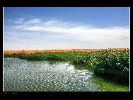 Moon Lake is situated in the hinterland of Tenggeli Desert, Alxa League of north China's Inner Mongolia Autonomous Region. Moon Lake is abeautiful and magic natural freshwater lake. With an area of three sq.kilometers, the lake resembles the shape of a map of China.[西部老马/bbs.fengniao.com]