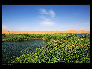 Moon Lake is situated in the hinterland of Tenggeli Desert, Alxa League of north China's Inner Mongolia Autonomous Region. Moon Lake is abeautiful and magic natural freshwater lake. With an area of three sq.kilometers, the lake resembles the shape of a map of China.[西部老马/bbs.fengniao.com]
