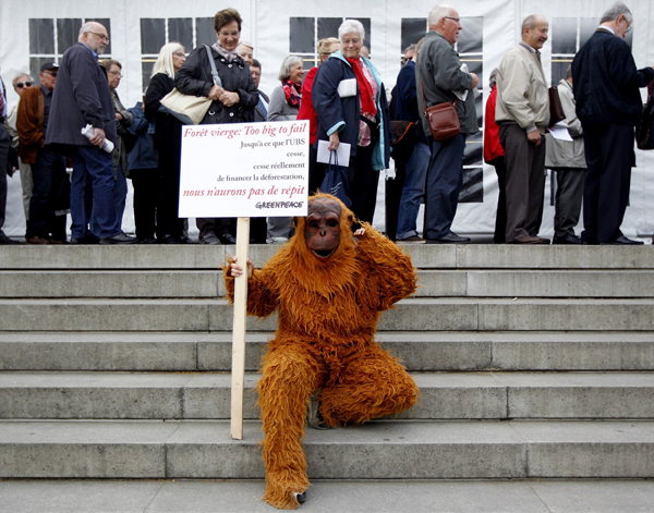 A Greenpeace activist dressed as an orangutan holds a placard against the destruction of the rainforests before Swiss bank UBS annual general meeting in Basel, April 28, 2011.(