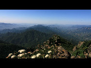 Crowned as the highest mountain in outskirts of Beijing, Lingshan Mountain has an average temperature of 12 degrees Celsius lower than downtown Beijing. And the top of the mountain is covered with snow all year round. Despite the extreme summer heat in downtown Beijing, Lingshan Mountain has its springtime now. Meadows thrive with green grass, languid white sheep wander across the meadow, and you can see outlines of distant mountains in the clear sky.[奔牛牛/forums.nphoto.net]