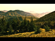 Crowned as the highest mountain in outskirts of Beijing, Lingshan Mountain has an average temperature of 12 degrees Celsius lower than downtown Beijing. And the top of the mountain is covered with snow all year round. Despite the extreme summer heat in downtown Beijing, Lingshan Mountain has its springtime now. Meadows thrive with green grass, languid white sheep wander across the meadow, and you can see outlines of distant mountains in the clear sky.[奔牛牛/forums.nphoto.net]