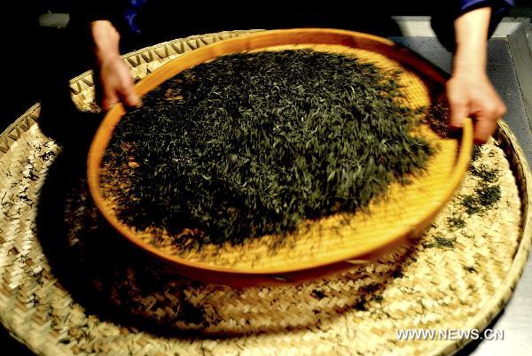 A tea maker screens fragmentary tealeaves with a sieve to make Enshi Yulu Tea or Jade Dew Tea in Enshi Tujia and Miao Autonomous Prefecture, central China's Hubei province, April 30, 2011.